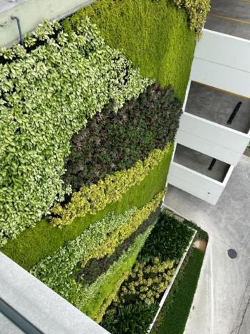 New Luxury Apartment With King - Size Bed Ceibos Guayaquil Eksteriør billede